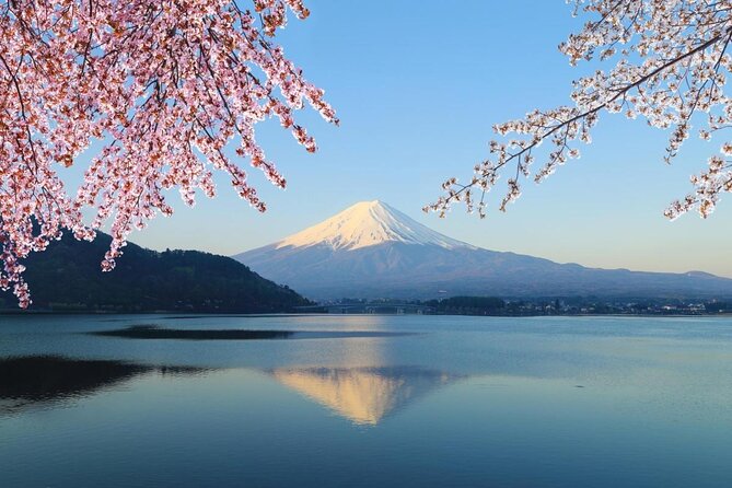1 Day Tour Mt Fuji Lake Kawaguchiko English Speaking Driver Guide