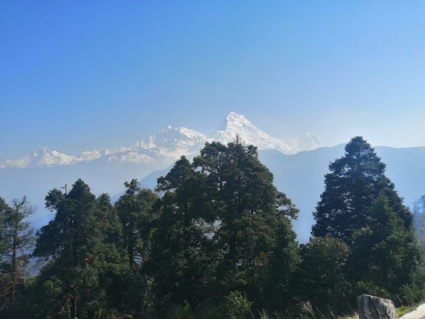 1 Night 2 Days Poon Hill Trek From Pokhara - Good To Know