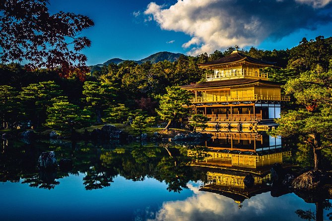 1 Day Private Kyoto Tour (Charter) - English Speaking Driver - Tour Overview and Customization Options
