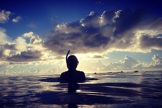 Amami Oshima Skin Diving Photo & Movie Tour! - Tour Highlights