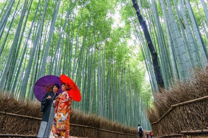 Arashiyama Bamboo Grove Day Trip From Kyoto With a Local: Private & Personalized - Overview of Arashiyama Bamboo Grove