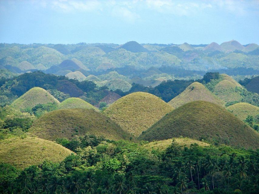 Bohol Day Tour From Cebu - Activity Details and Pricing
