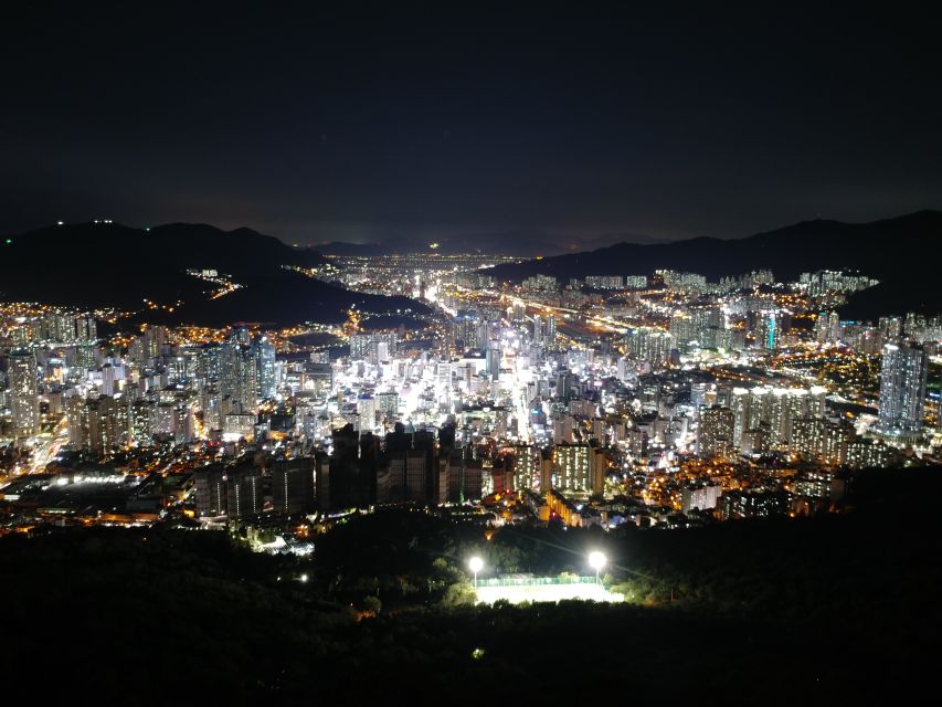Busan: Night Viewpoints With Evening Cruise W/ Fireworks - Activity Details and Inclusions