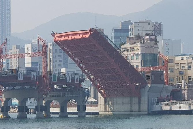 Busan Private Full-Day Sightseeing Tour With Custom Itinerary - Booking Details and Options