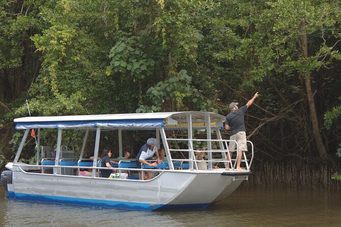 Daintree Discovery Tours - Full Day Daintree Rainforest Tour - Tour Details and Logistics
