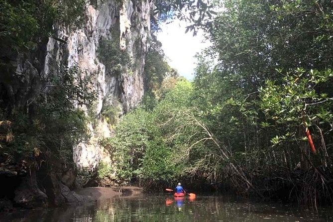 Deep Mangrove and Canyon Kayak Tour in Krabi - Tour Overview and Inclusions