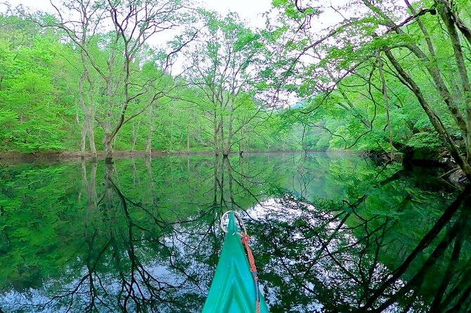 Dive Naturally! Melting Kinshu Lake Submerged Forest Canoe Tour - Tour Details
