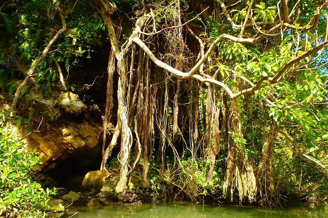 Enjoy Nature! Mangrove Kayak Tour! - Meeting Point and Directions