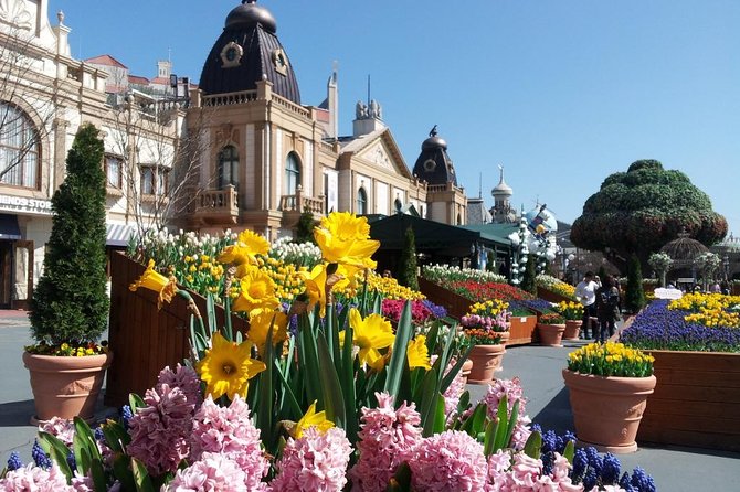 EVERLAND "From Hotel to Hotel" [Premium Private Tour: Only One Group for You] - Cancellation Policy