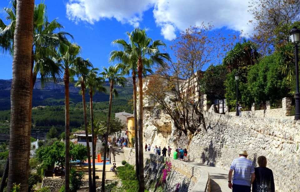 From Albir, Altea, Benidorm & Calpe: Guadalest & Algar Tour - Activity Details and Options