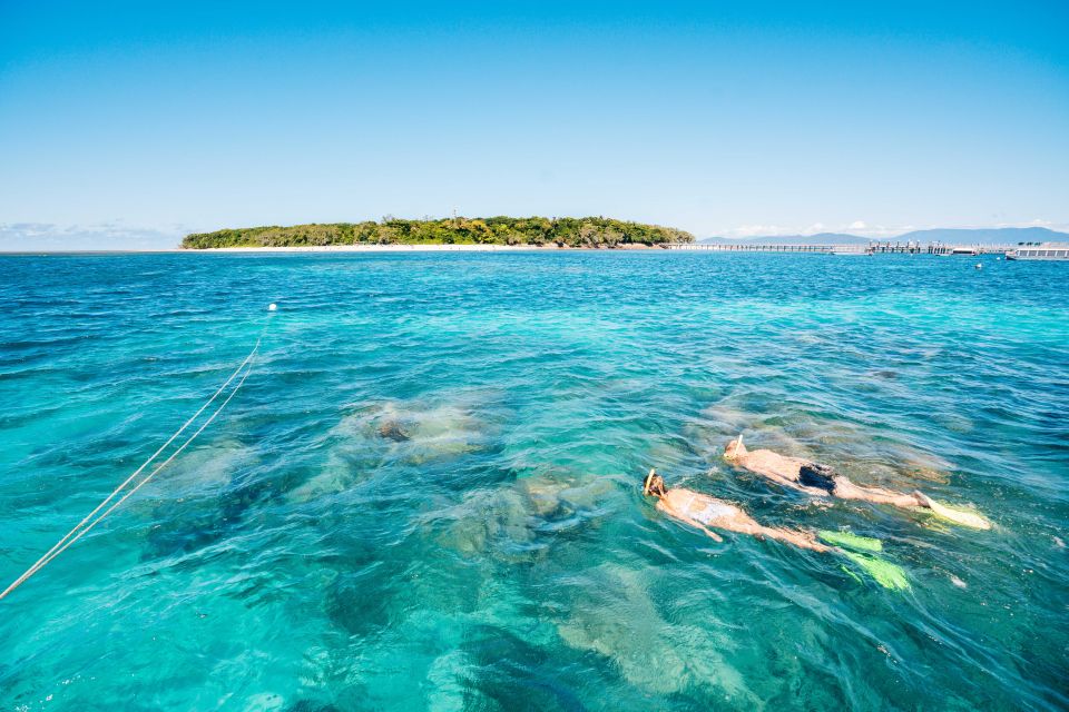 From Cairns: Green Island Snorkelling or Glass Bottom Boat - Activity Details