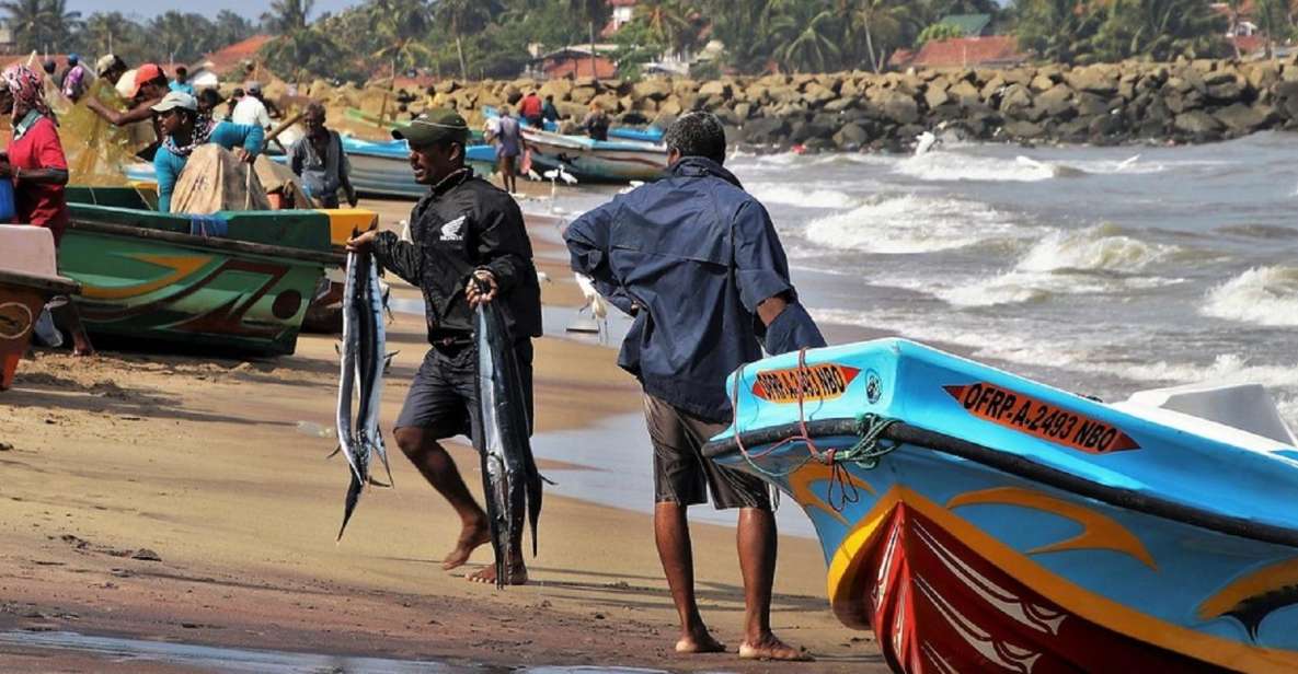 From Colombo: Hikkaduwa Village Tour With Boat Ride & BBQ - Activity Details
