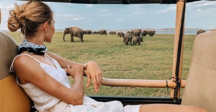 From Ella: Yala National Park Safari Tour in a 4x4 - Activity Details