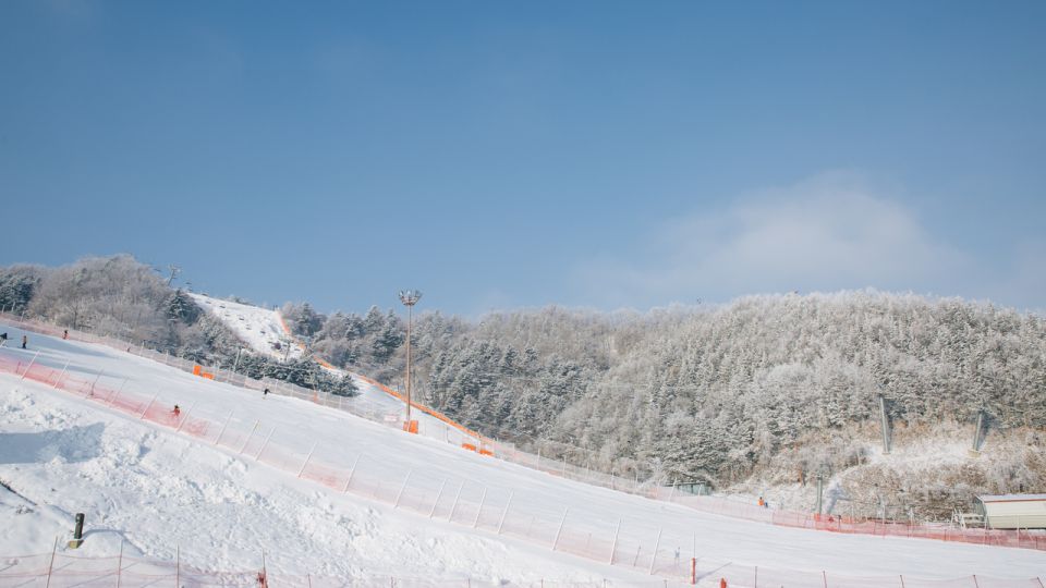 From Seoul: Elysian Gangchon Ski Resort Winter Fun Day Tour - Tour Details