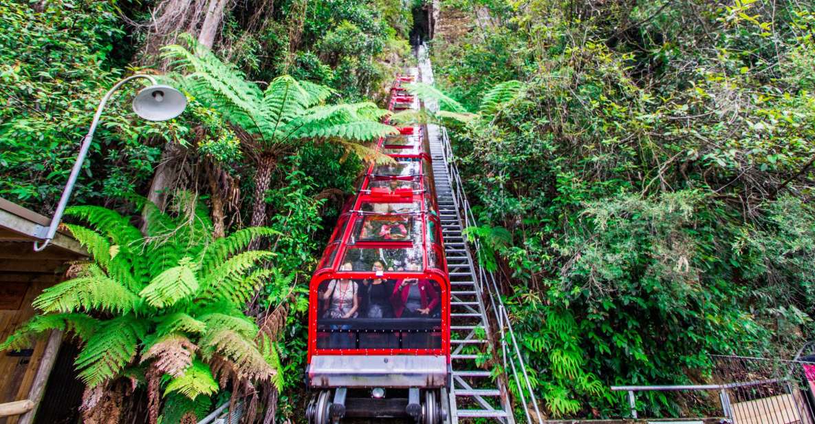 From Sydney: Blue Mountains, Scenic World, Zoo, & Ferry Tour - Tour Details and Highlights