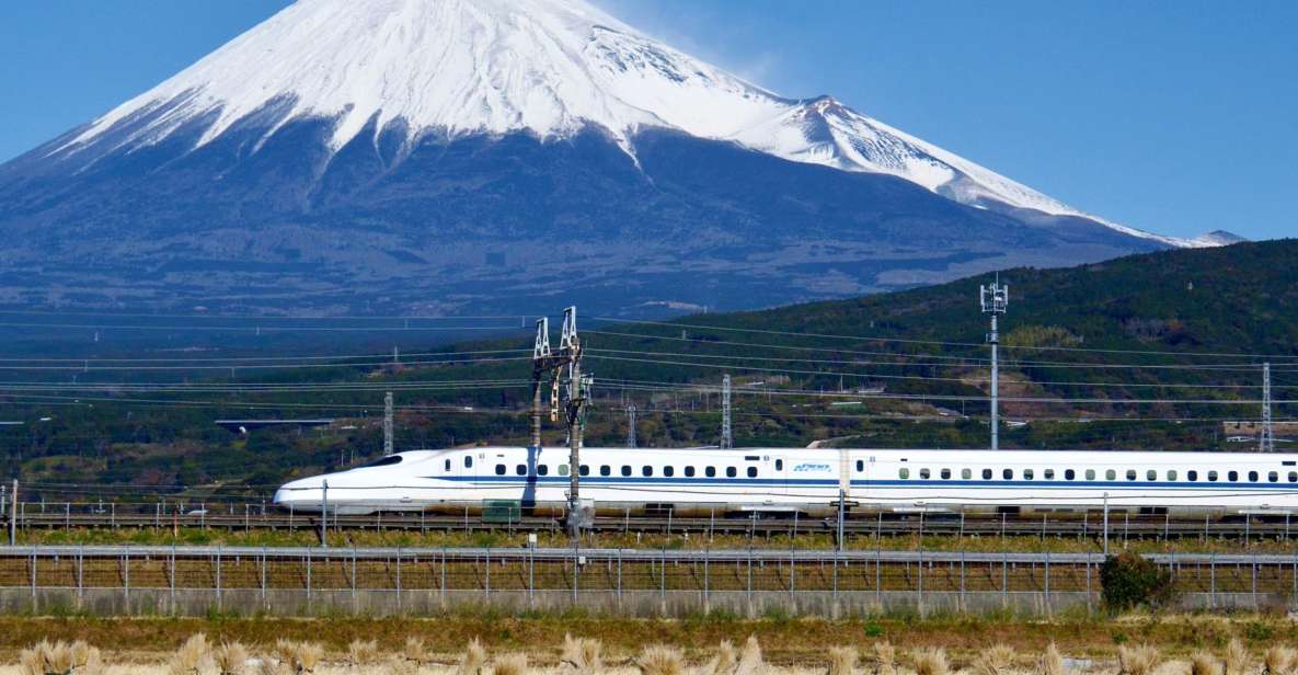From Tokyo: Mt. Fuji & Hakone Tour W/ Return by Bullet Train - Activity Details
