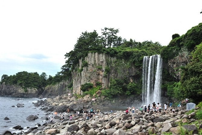 Full-Day Customizable Private Essential Jeju Island Tour for South Course - Reviews