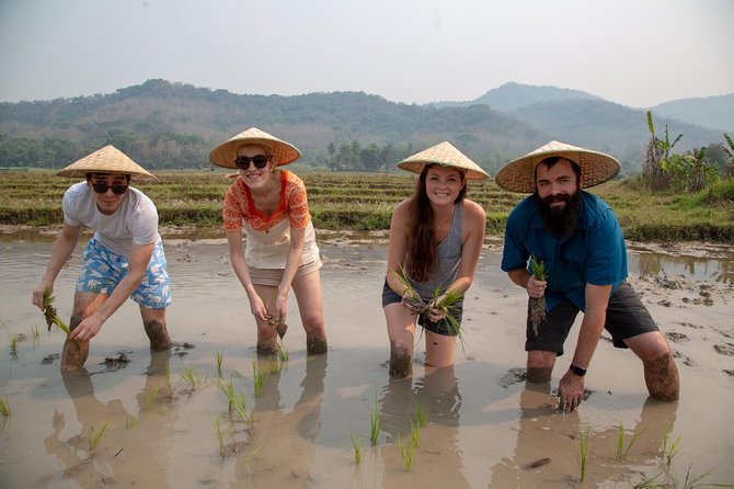 Full Day Kuang Si Warerfalls & Rice Farming Experience in Living Land - Traveler Reviews