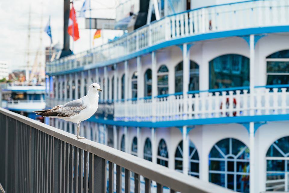 Hamburg: 1-Hour XL Port of Hamburg Cruise Tour - Activity Details