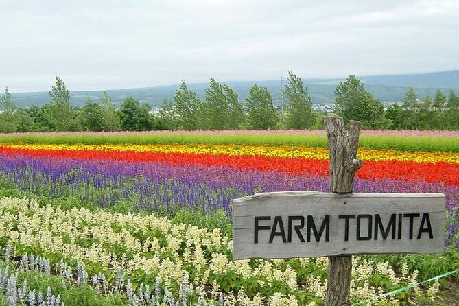 Hokkaido Highlights of Flower Blossom, Asahiyama Zoo& Blue Pond「Aoi-Ike」! - Tour Details