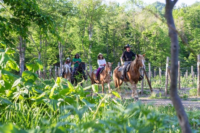 Horseback-Riding in a Country Side in Sapporo - Private Transfer Is Included - Tour Details