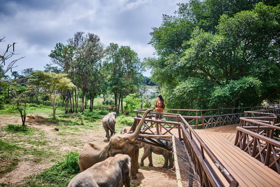 Koh Samui: Elephant Kingdom Sanctuary Half-Day Tour - Activity Details