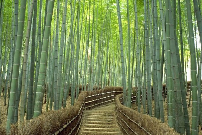 Kyoto Day Trip Using Private Car With English Driver (Up to 9) - Tour Overview