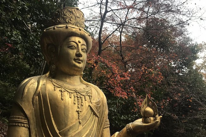 Kyoto: Descending Arashiyama (Private) - Tour Overview and Highlights