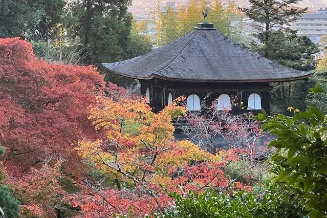 Kyoto Private Customizable Sightseeing Tour by Car-Up to 8 People - Meeting Points and Pickup Details