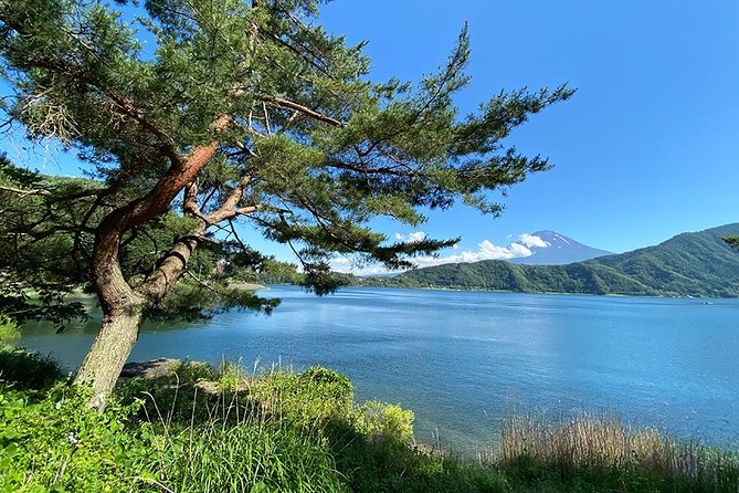 Lake Kawaguchiko Bike Tour - Tour Overview