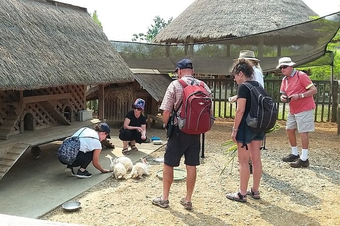 Luang Prabang City, Buffalo Dairy Farm and Kuangsi Falls - 1 Day Private Tour - Tour Highlights