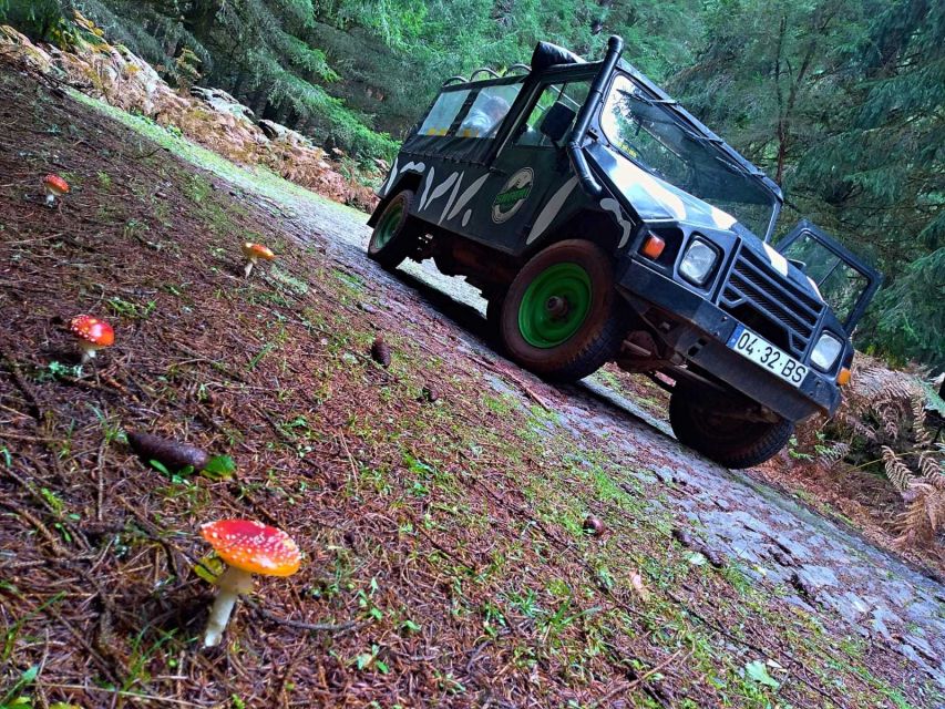 Madeira: Jeep Safari Tour - Stunning Views From Madeiras Peaks