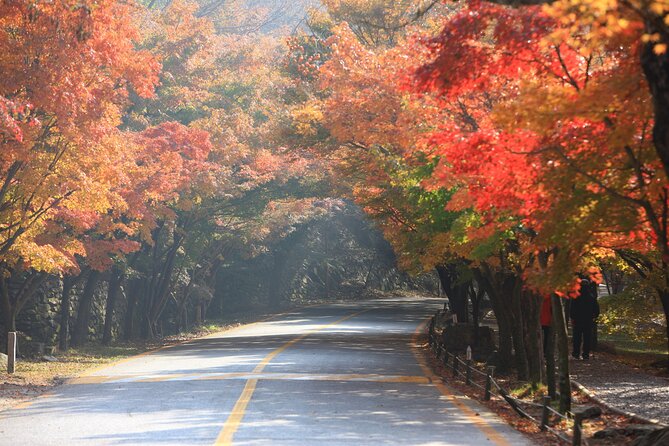 Magnificent Naejangsan National Park Autumn Foliage Tour From Seoul - Booking Details