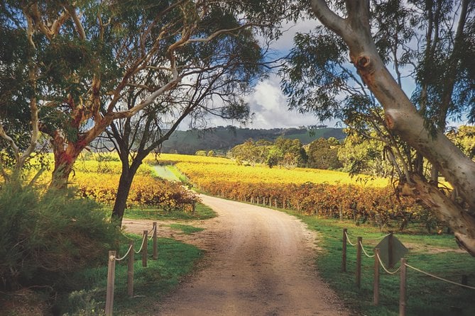 Mclaren Vale Winery Small Group Tour With Wine Tasting and Lunch - Tour Overview and Highlights
