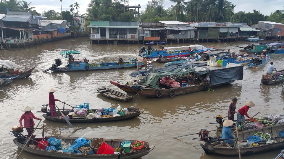 Mekong Day Tour by Car: Floating Market, Cooking & Cycling - Activity Details