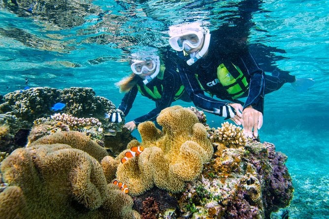 Miyakojima / Snorkel Tour to Enjoy Coral and Fish - What To Expect