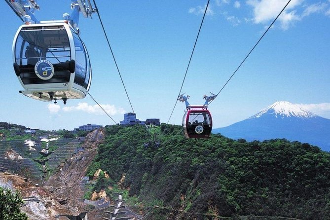 Mt. Fuji & Hakone 1 Day Tour From Tokyo (Return by Bullet Train in Option） - Tour Details and Logistics