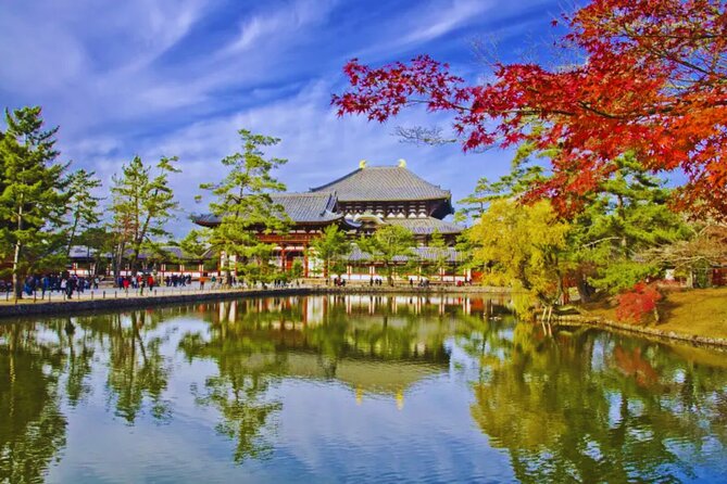 Nara, Todaiji Temple & Kuroshio Market Day BUS Tour From Osaka - Tour Overview
