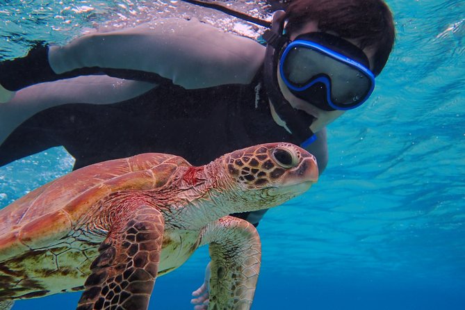 [Okinawa Miyako] SUP / Canoe Sea Turtle Snorkeling !! (Half-Day Course) - Activity Overview
