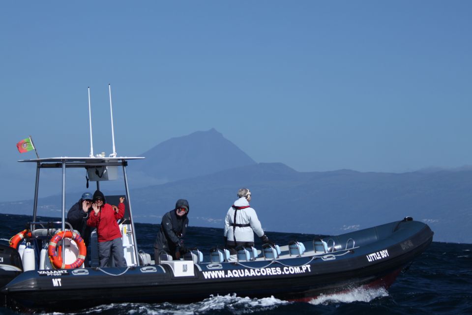Pico Island: Azores Whale & Dolphin Watching on Zodiac Boat - Activity Details