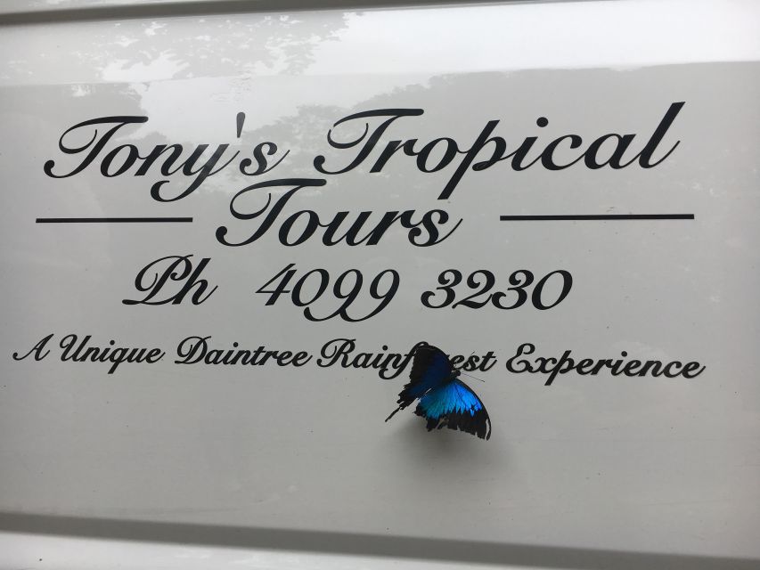 Port Douglas: Daintree, Cape Tribulation, Mossman Gorge Tour - Activity Details