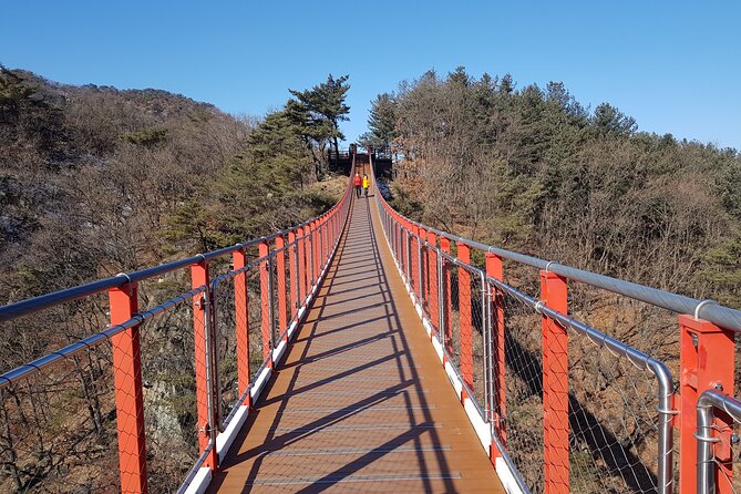 Premium Private DMZ Tour & (Suspension Bridge or N-Tower) Include Lunch - Highlights of the DMZ