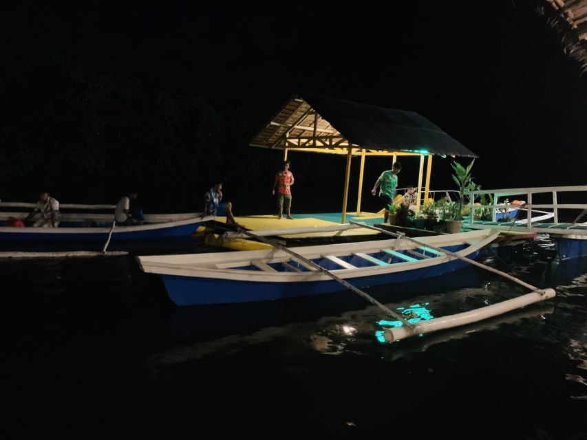 Puerto Princesa: Underground River and Firefly Watching Tour - Activity Details