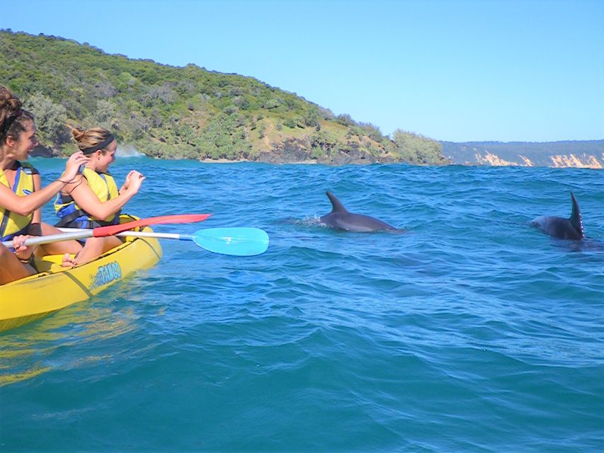 Rainbow Beach: Kayaking With Dolphins and Beach 4WD Tour - Experience