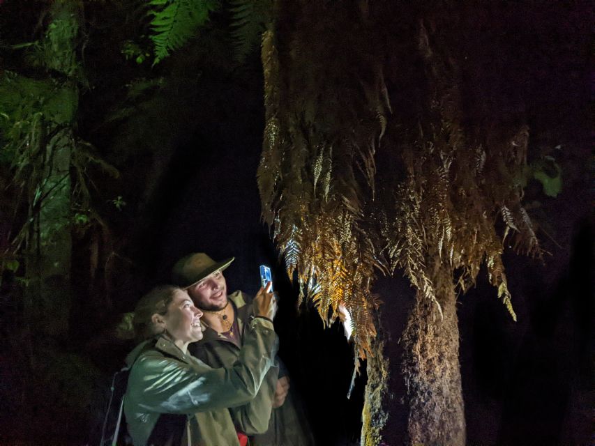 Rotorua: Nocturnal Glow Worm Tour With a Guide - Booking Details