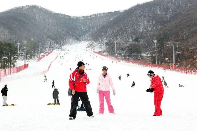 Seoul Ski Tour at Jisan Forest Resort - Tour Overview