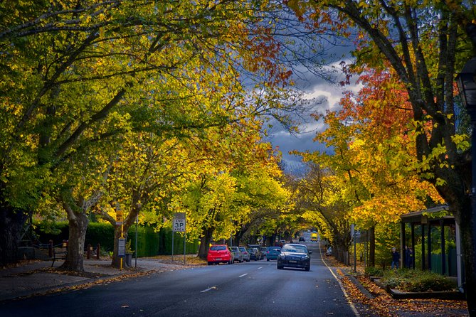 Small Group Adelaide Hills and Hahndorf Hideaway Tour From Adelaide - Traveler Experiences