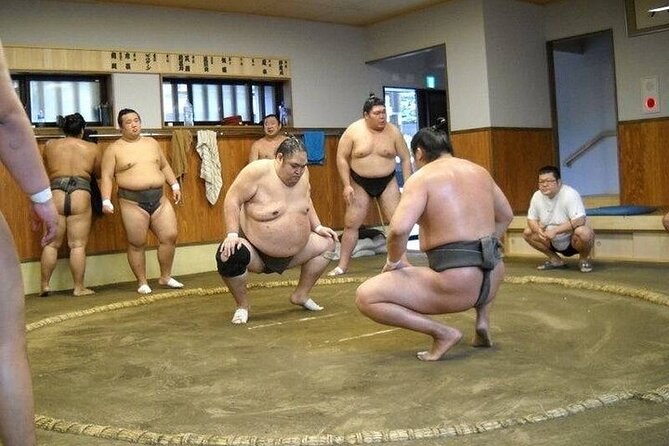 Sumo Morning Practice Tour in Tokyo, Sumida City - Price and Availability Information