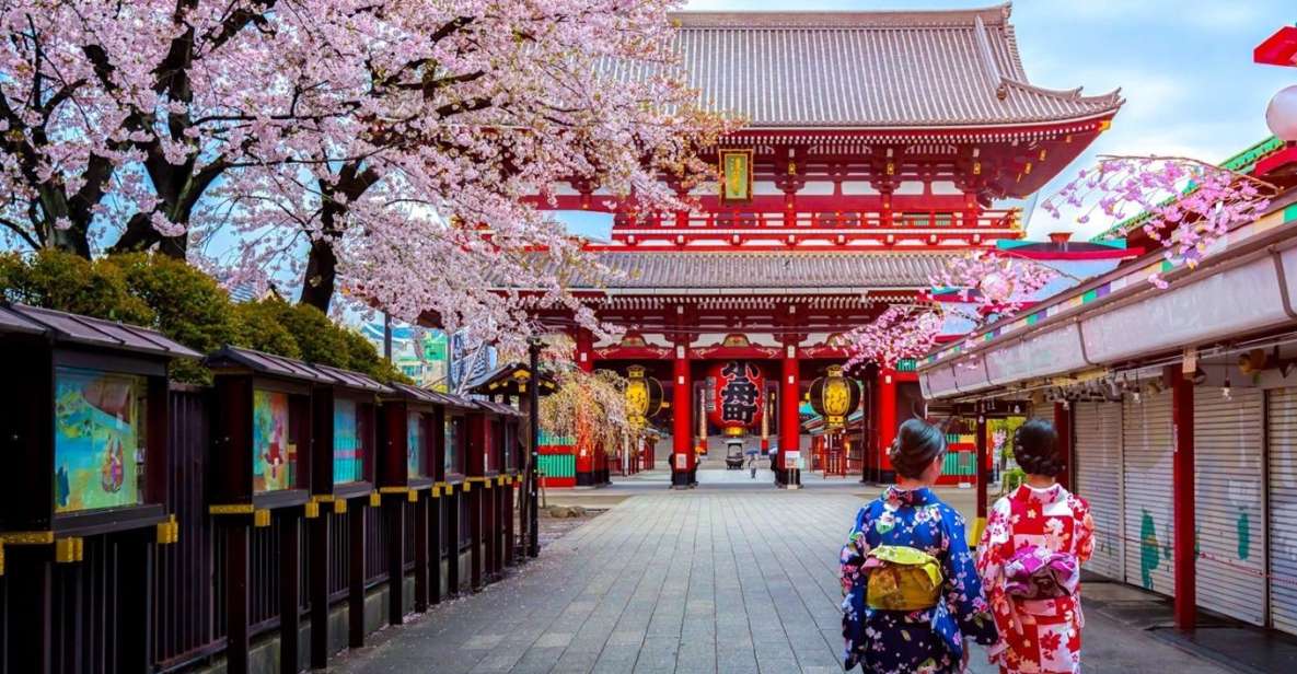 Tokyo: Full Day Private Walking Tour With a Guide - Activity Details