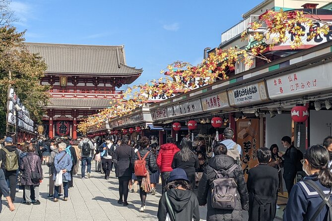Tokyo Private Car Tour: Professional Guide and Driver/Optional Airport Xfer - Cancellation Policy